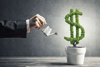 Concept of investment income and growth with money tree in pot