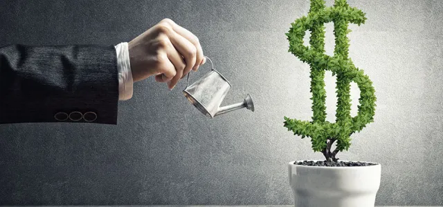Concept of investment income and growth with money tree in pot